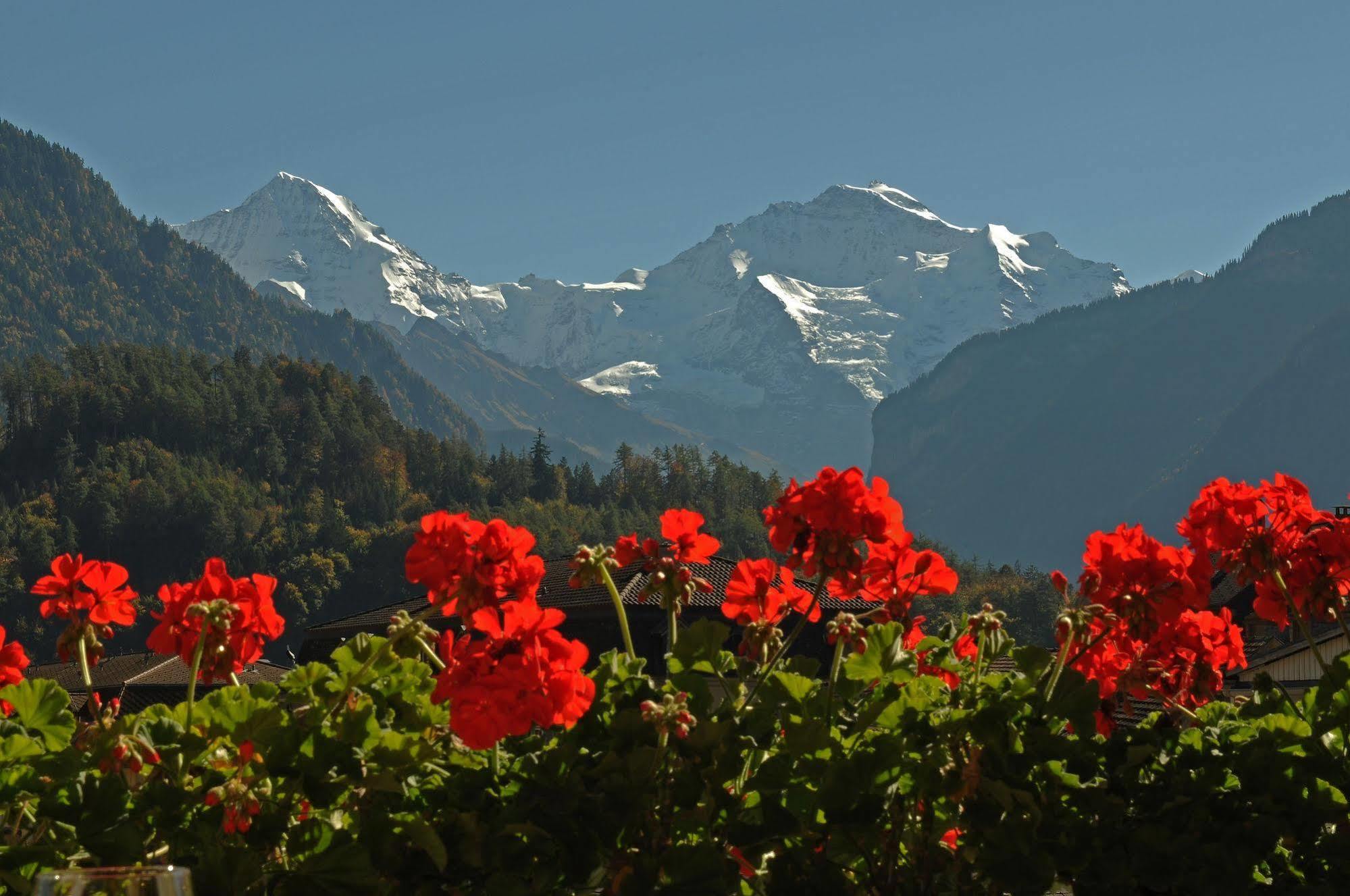 Post Hardermannli Hotel Interlaken Kültér fotó